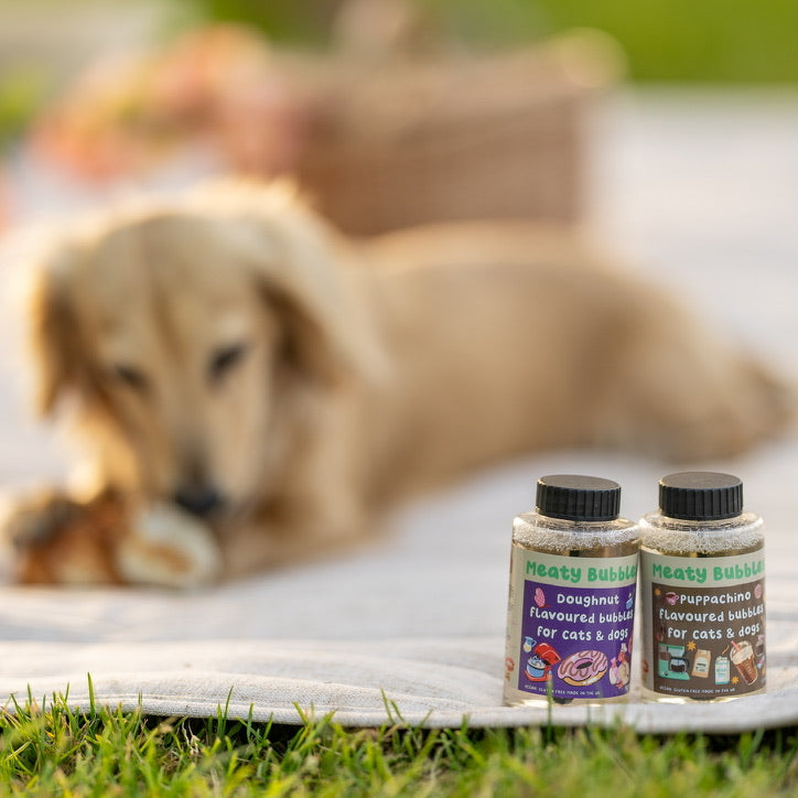 Bellenblaas voor honden