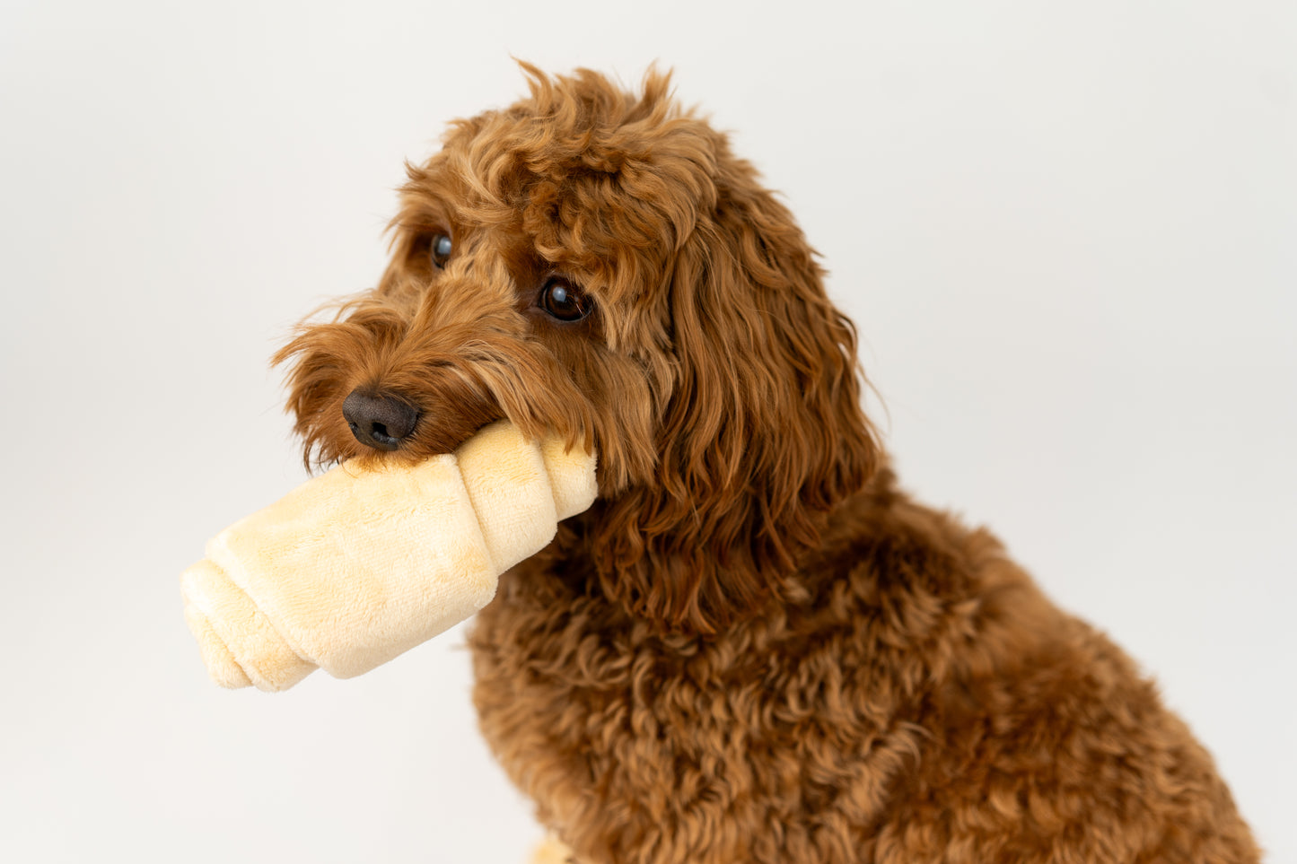 De Snuffel Croissant