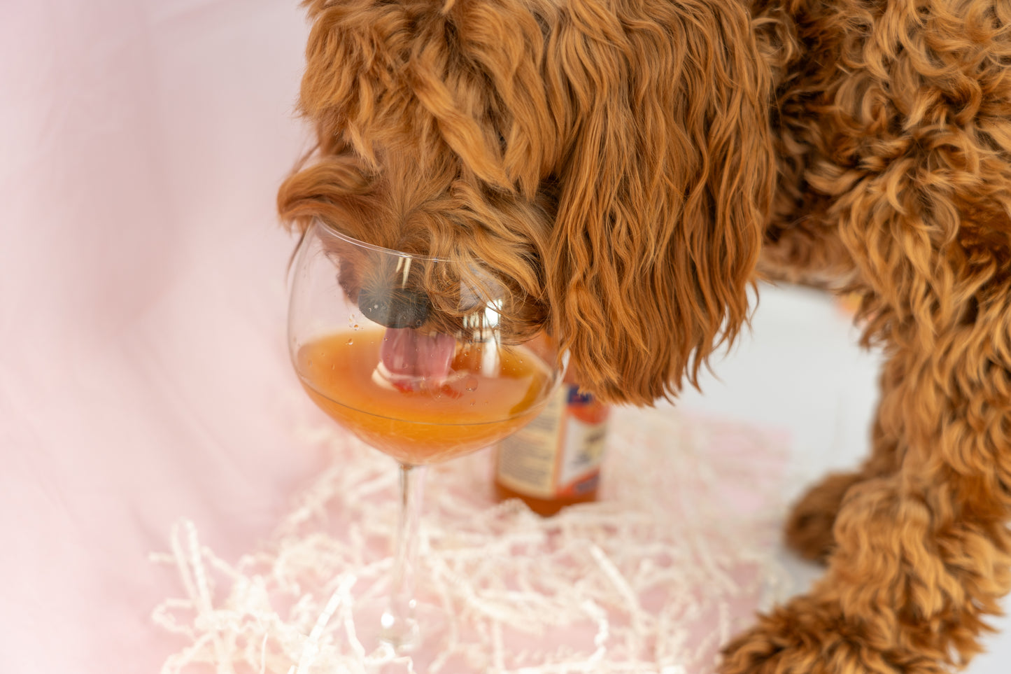 Aperol Spritz for dogs