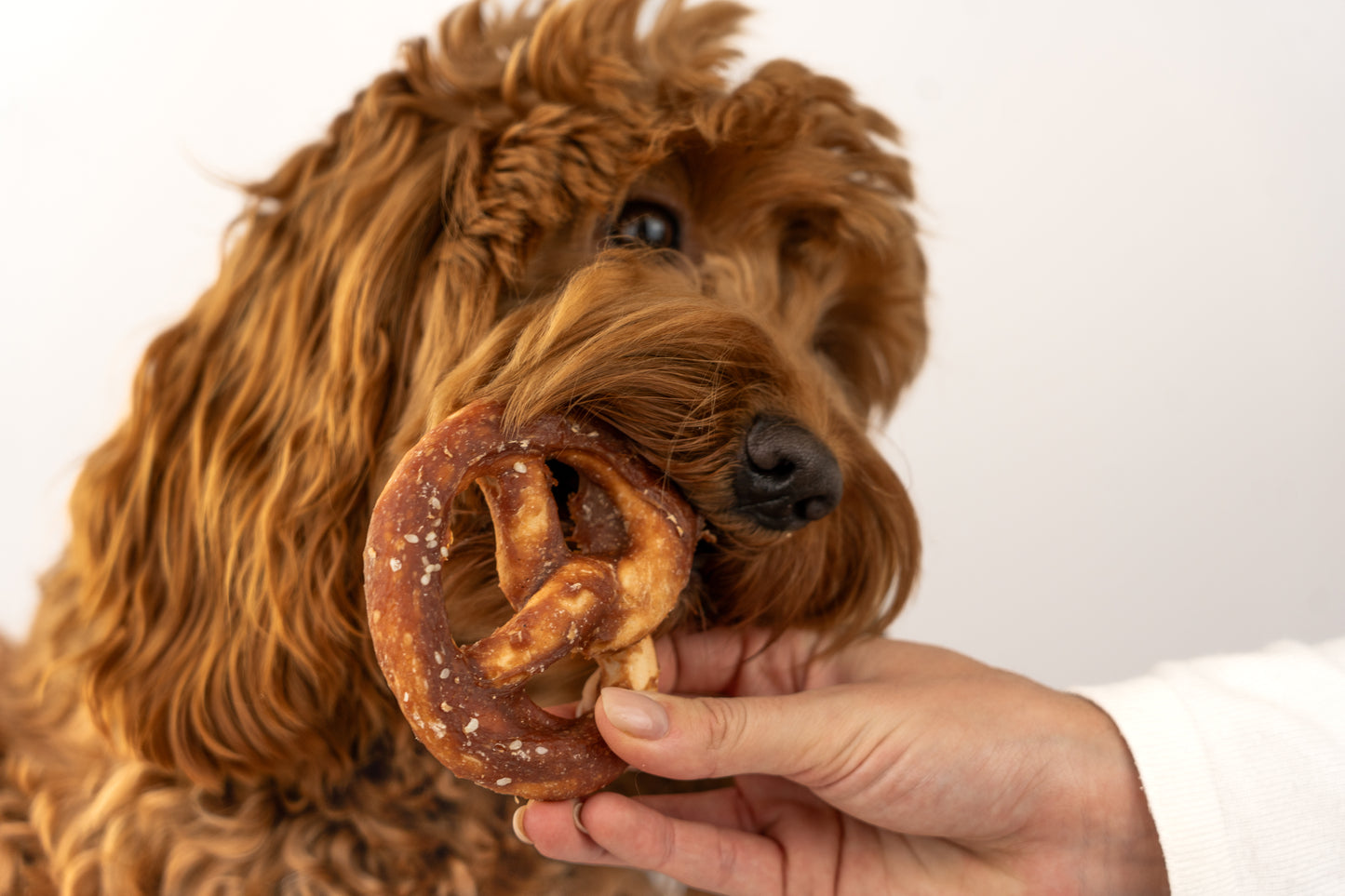 Pretzel Eend
