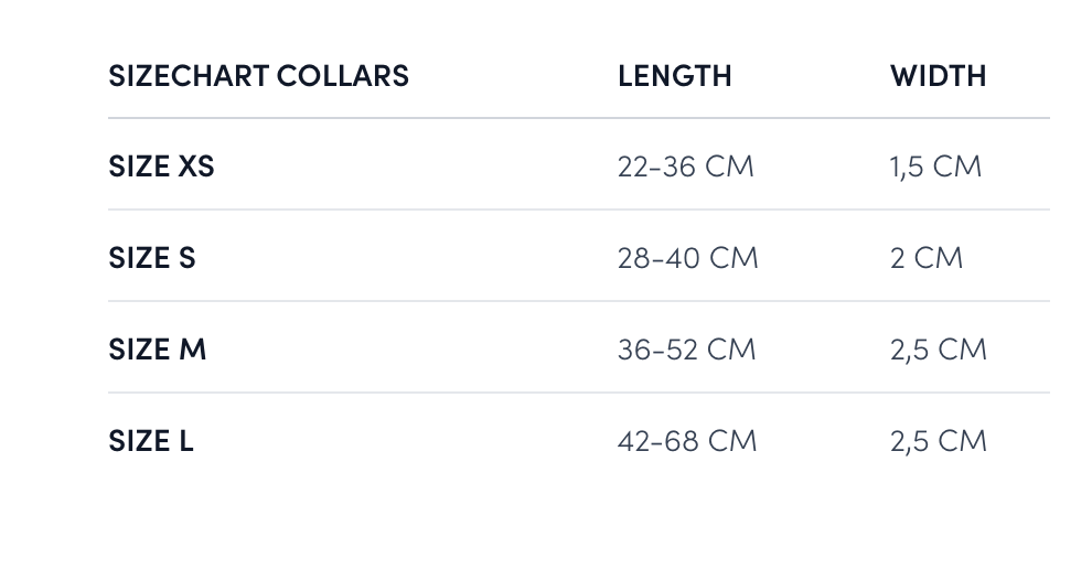 Exclusive Dog Advent Calendar 2025