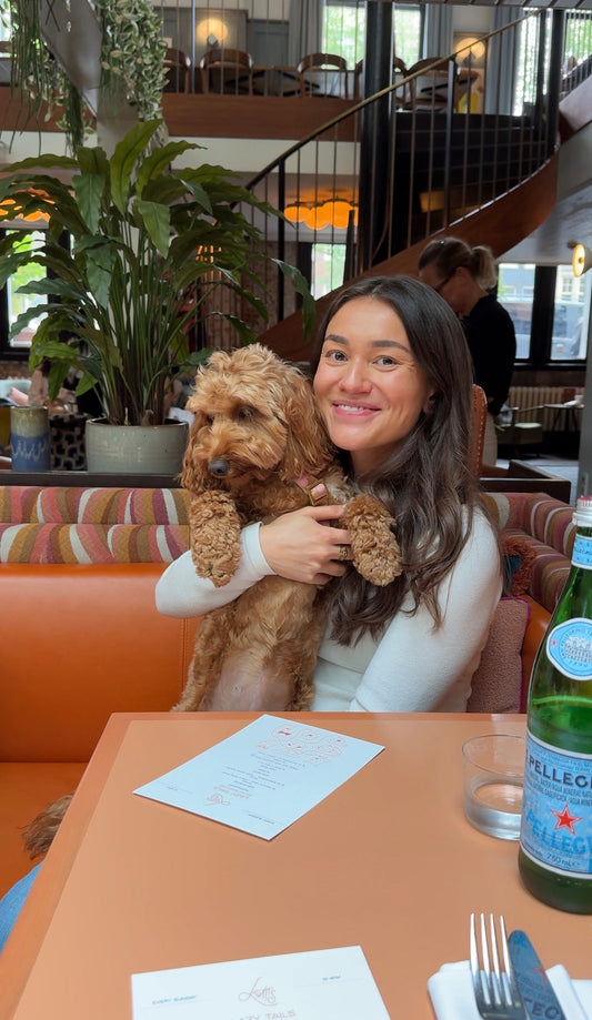 Lazy Tails Dog Lunch Amsterdam | Lotti's x De Hondenbakkerij