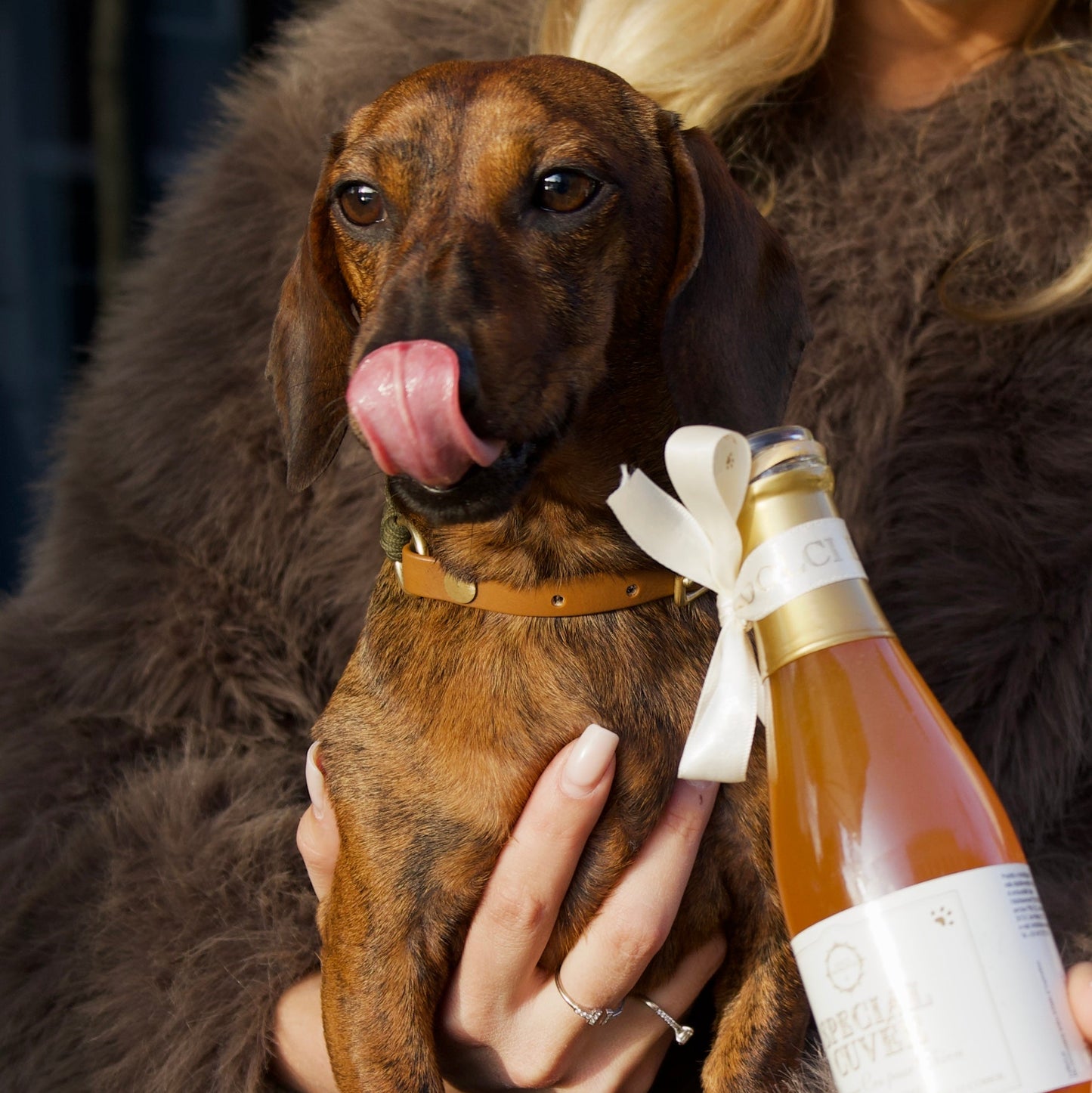 Doggy Drinks