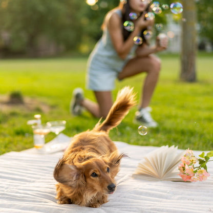 Bellenblaas voor honden