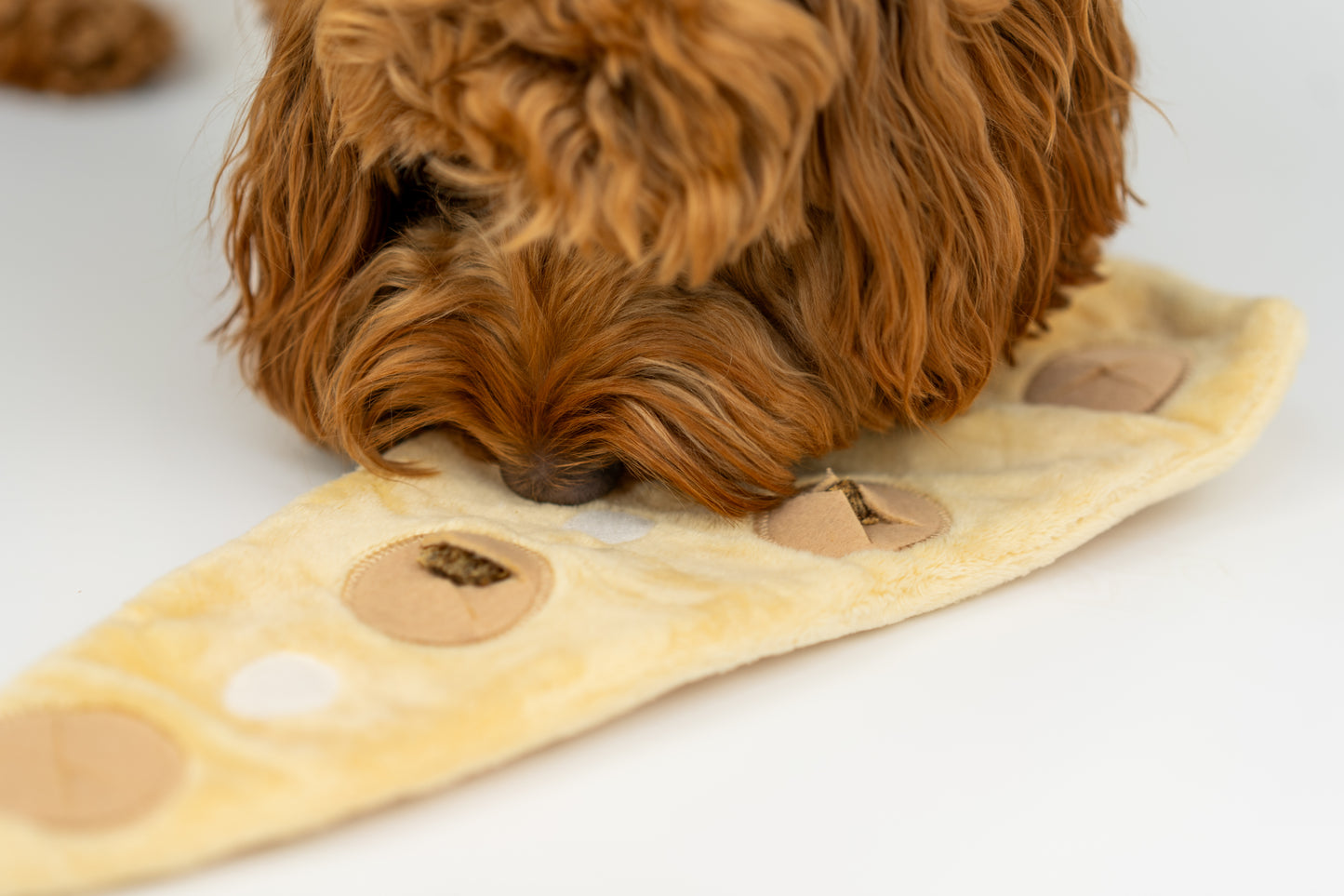 De Snuffel Croissant