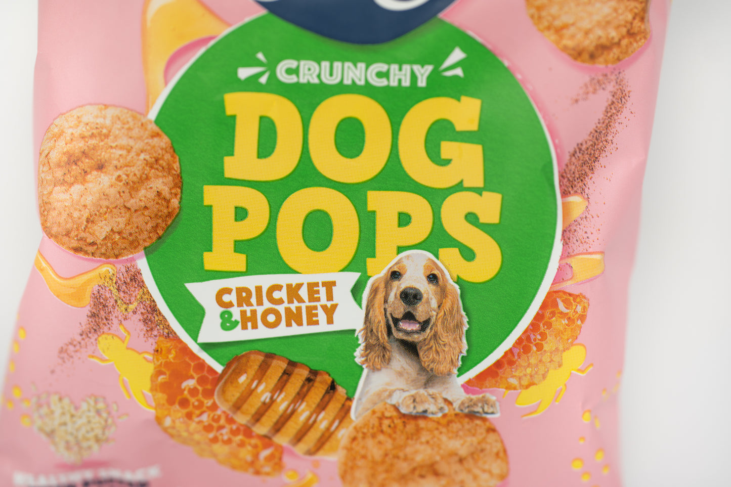 Dog Pops met krekel en honing