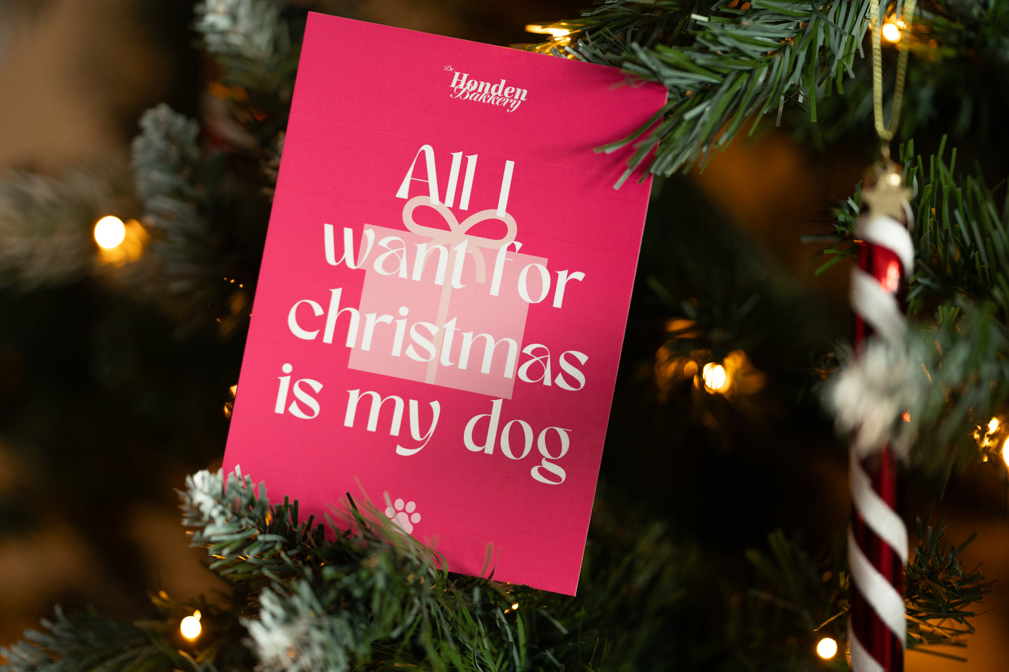 Exclusive Dog Advent Calendar 2025