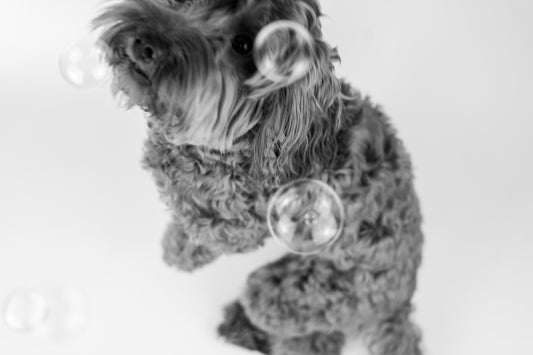 Meaty Bubbles - Peanut Butter