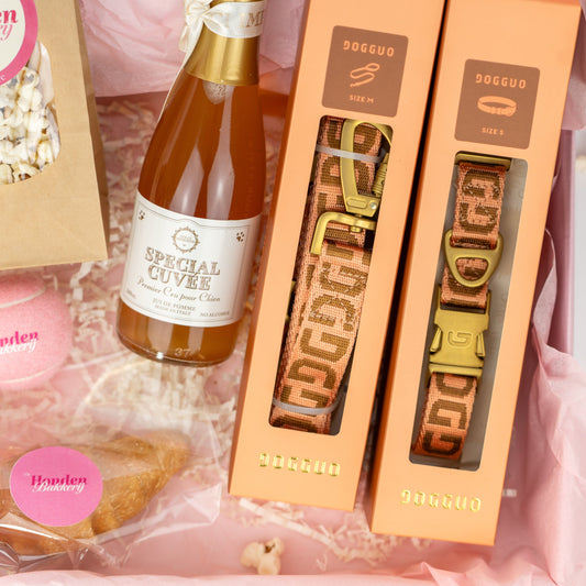 The Special Edition Box