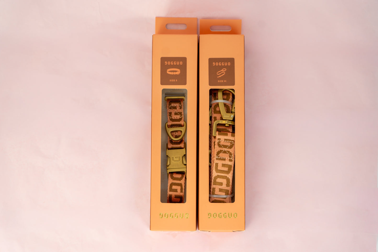 The Special Edition Box