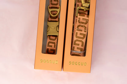 The Special Edition Box