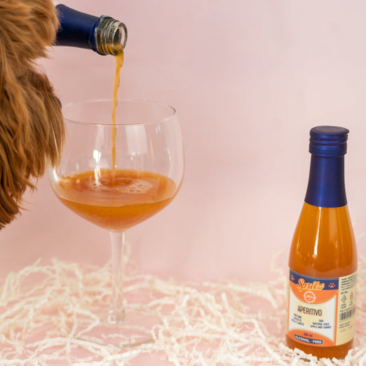Aperol Spritz for dogs