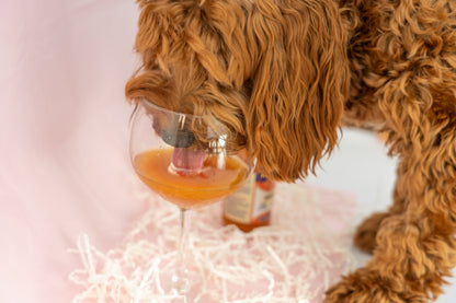Aperol Spritz voor honden