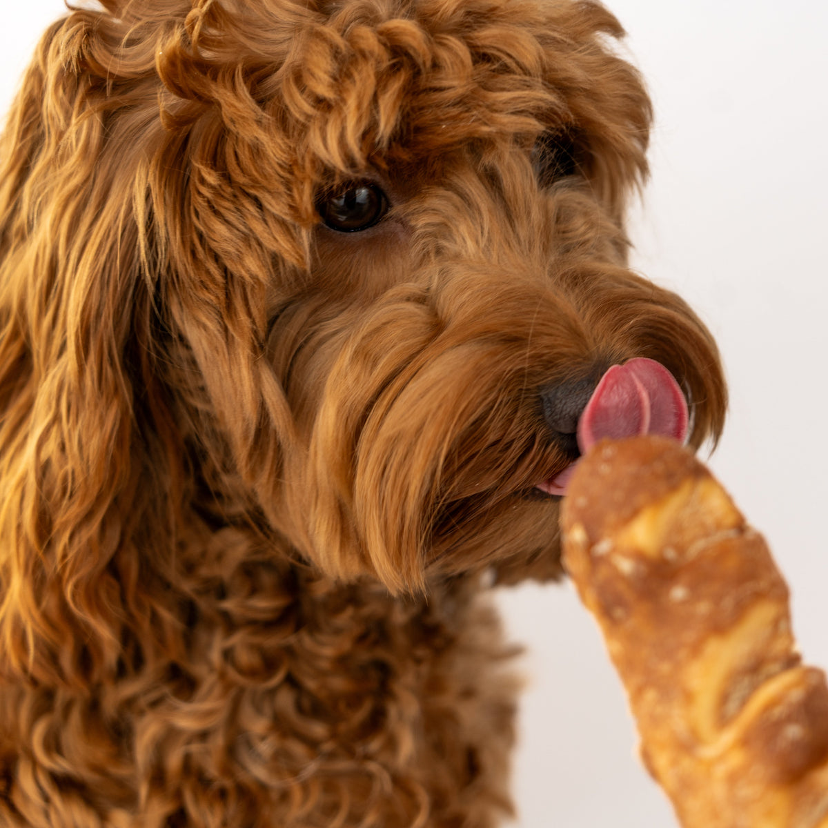 Chew Bundle