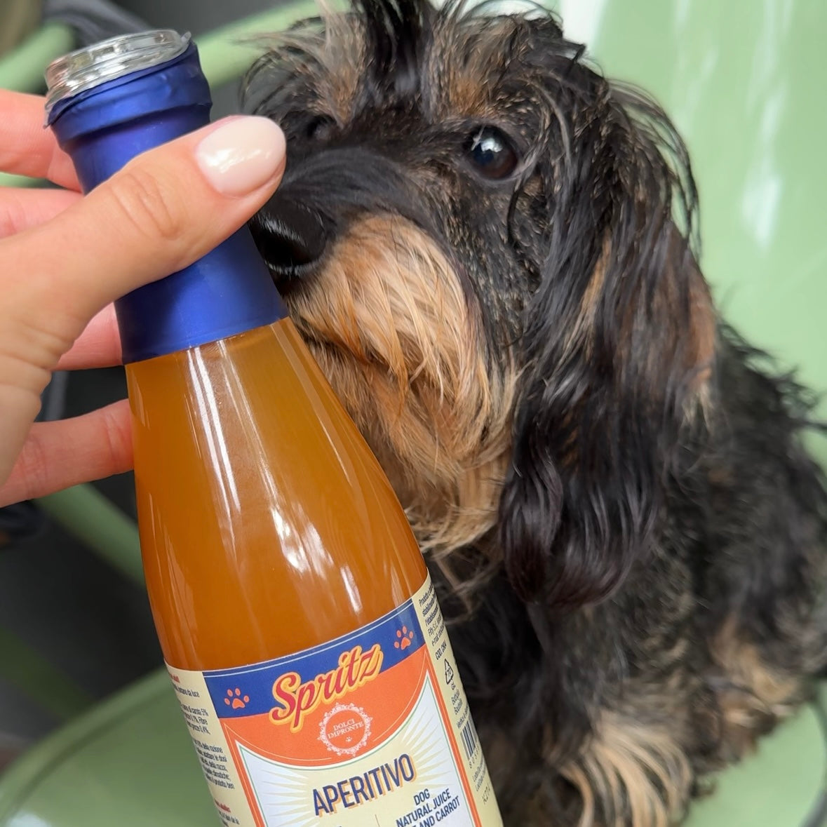 Aperol Spritz voor honden