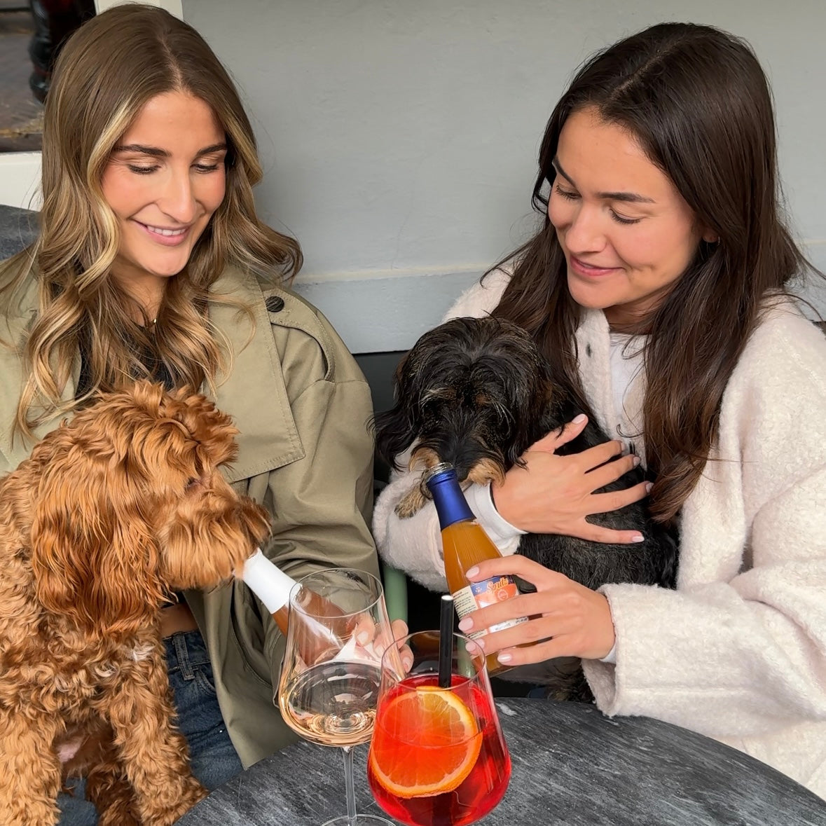 Aperol Spritz voor honden