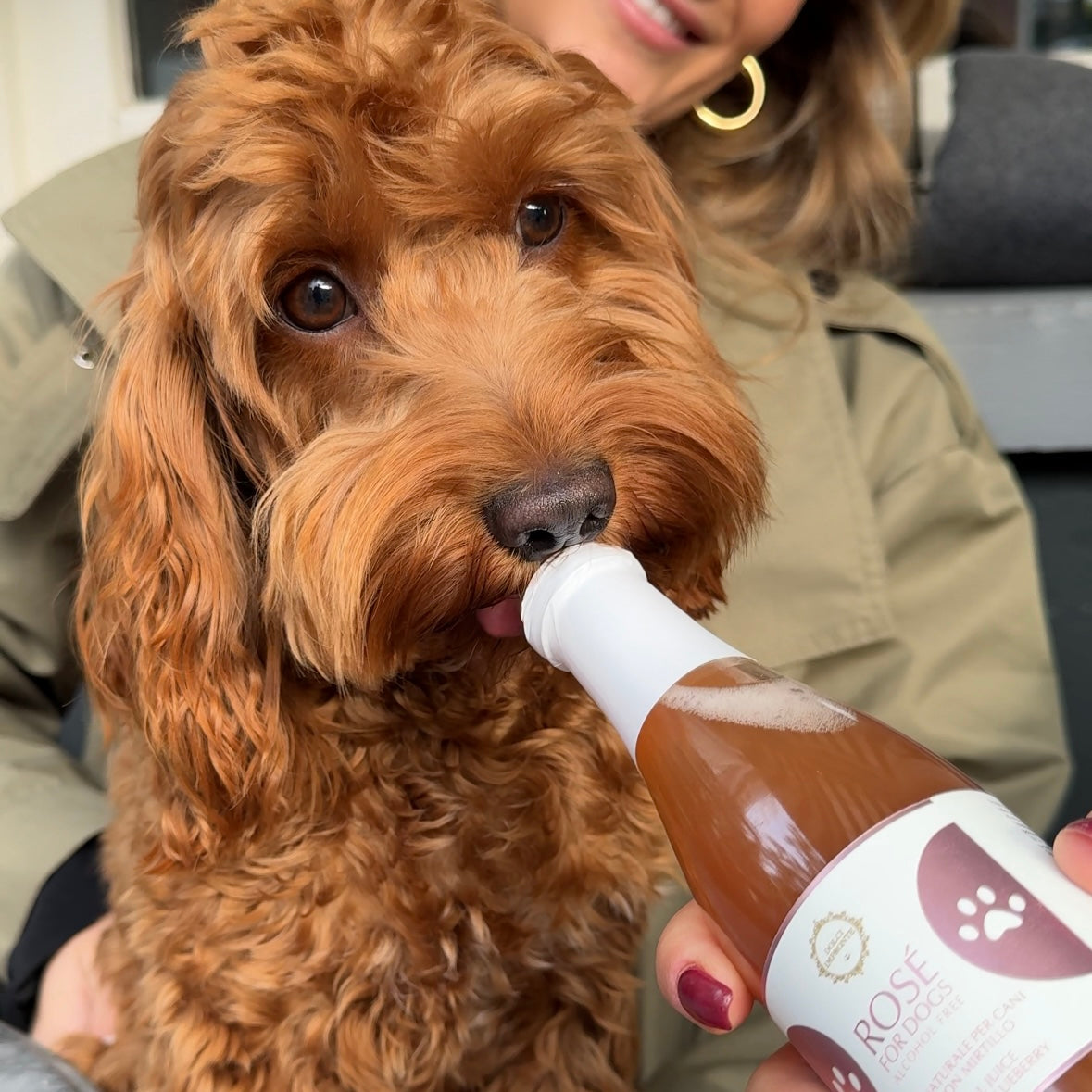 Rosé voor honden