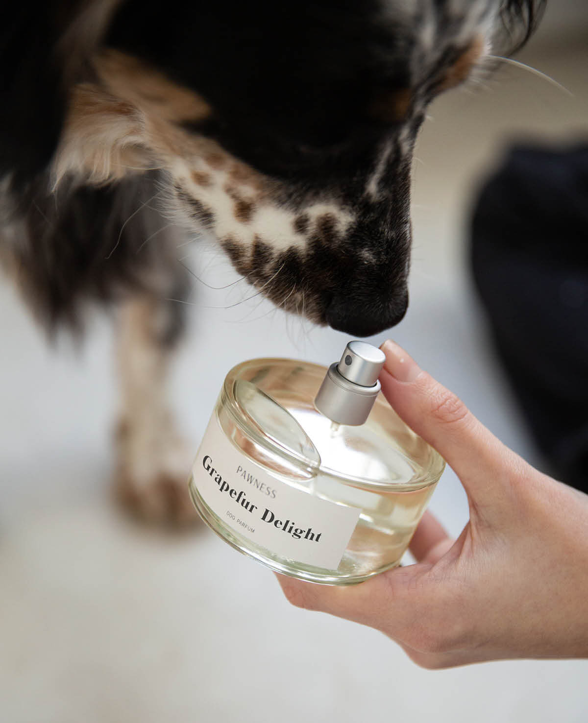 Hondenparfum - Pawness