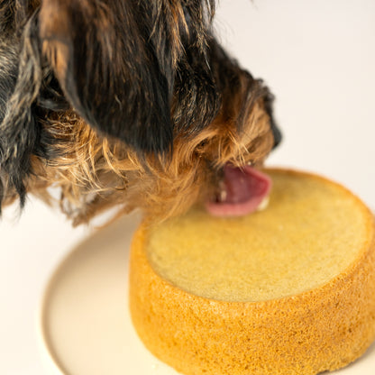 Classic Birthday Cake